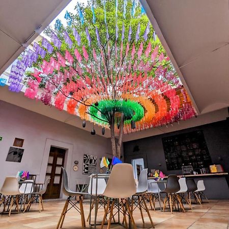 Bkl Hotel 오아하카주 외부 사진