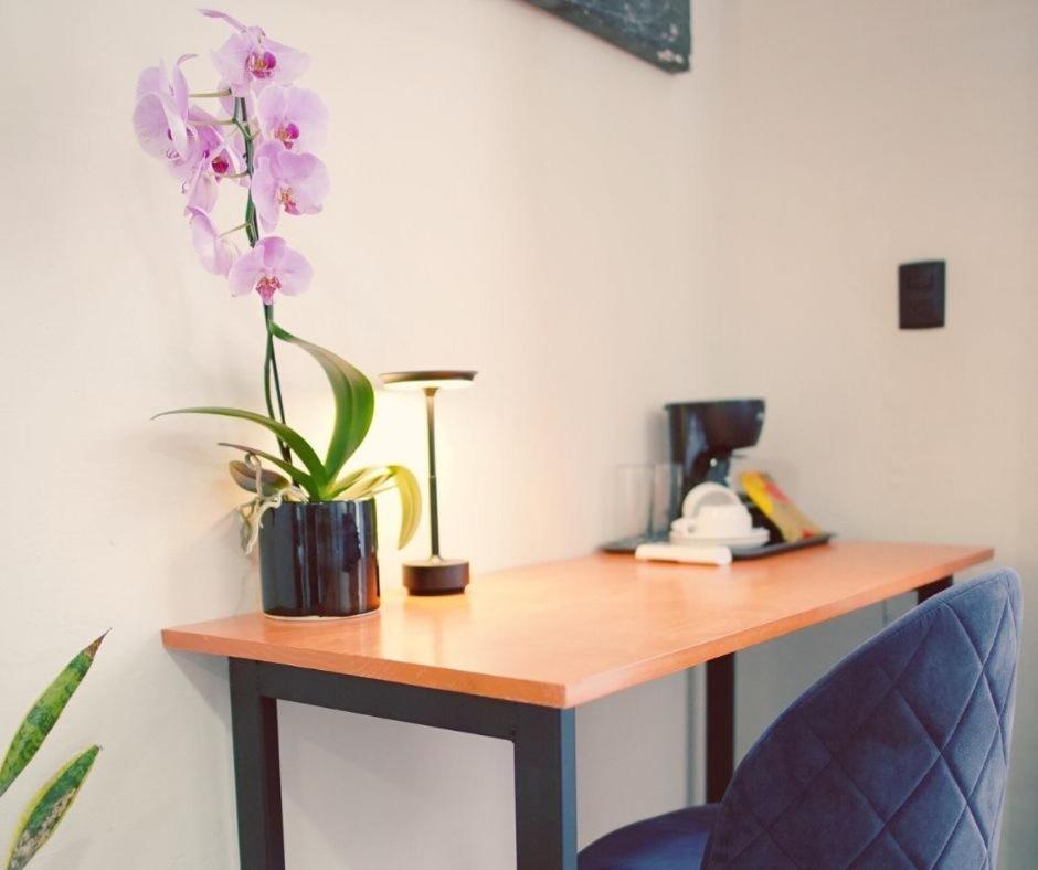 Bkl Hotel 오아하카주 외부 사진